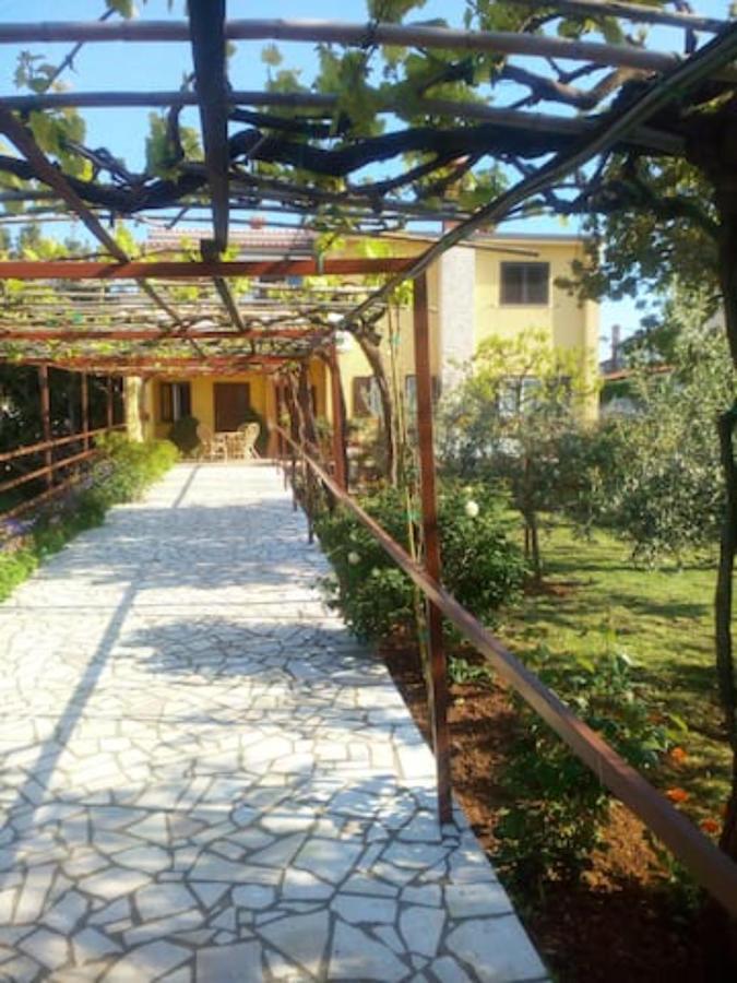 App Anita Apartamento Premantura Exterior foto